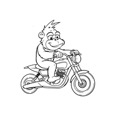 Gorilla riding a motorcycle